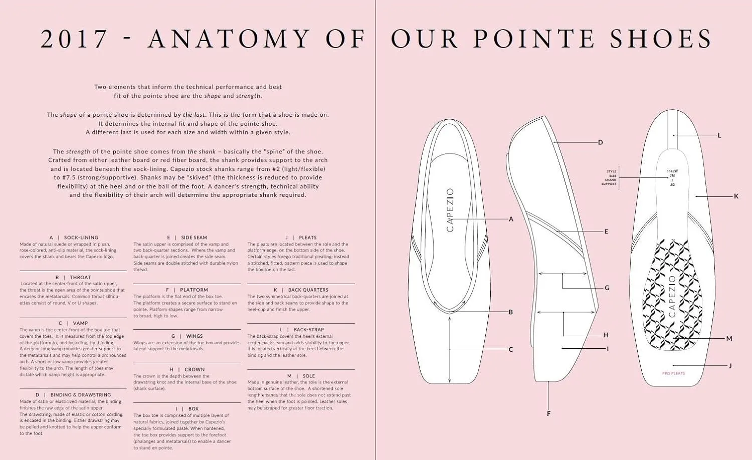 Capezio Women's Aria Pointe Shoe