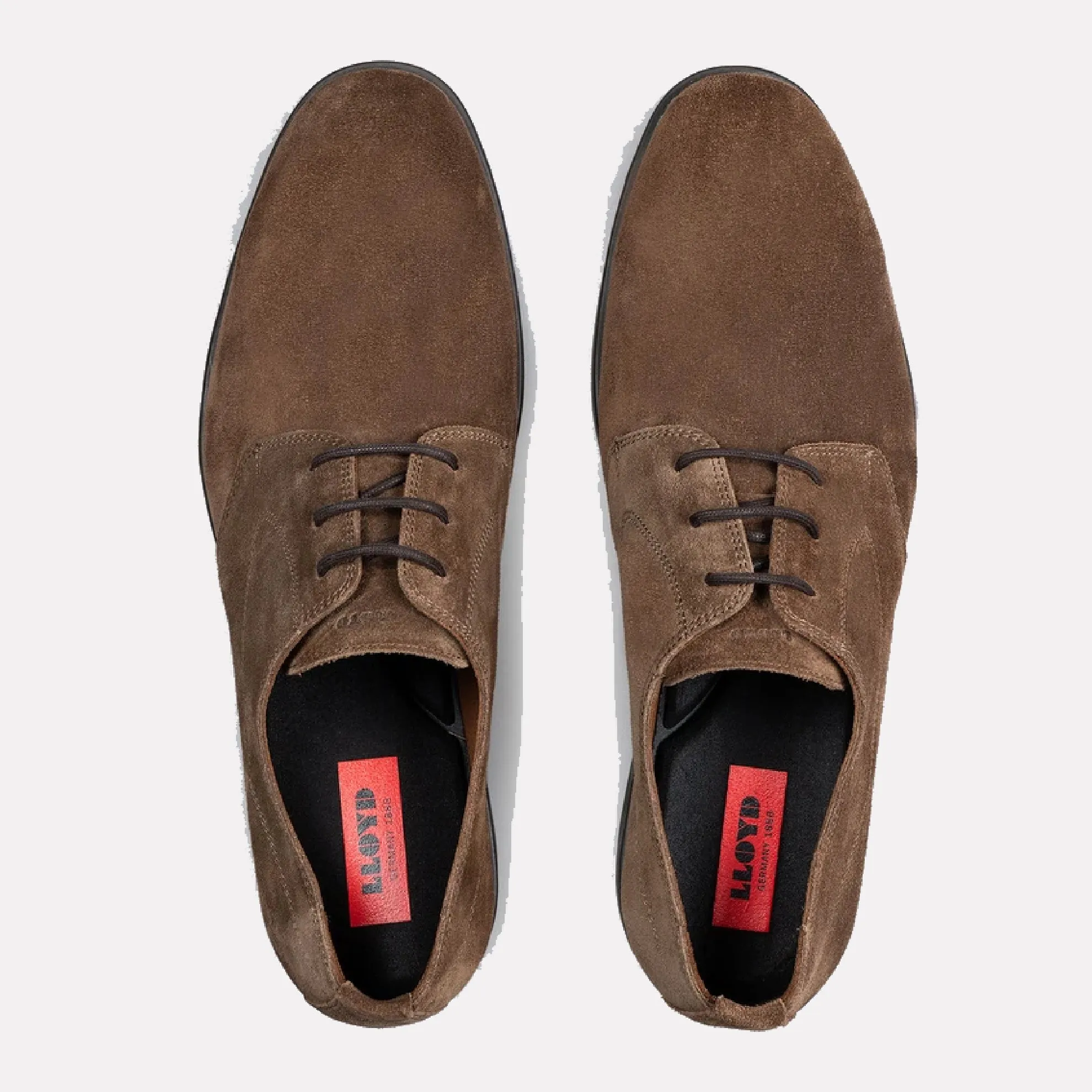 Larin Nova Suede w/Dorset Rubber Sole Shoe / Havanna