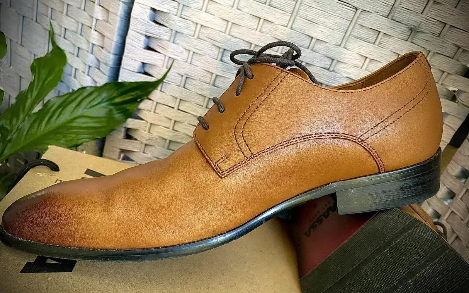 Massa Ascoli Leather Derby Dress Lace Up Shoes Wedding Business Formal in Tan - UK 8