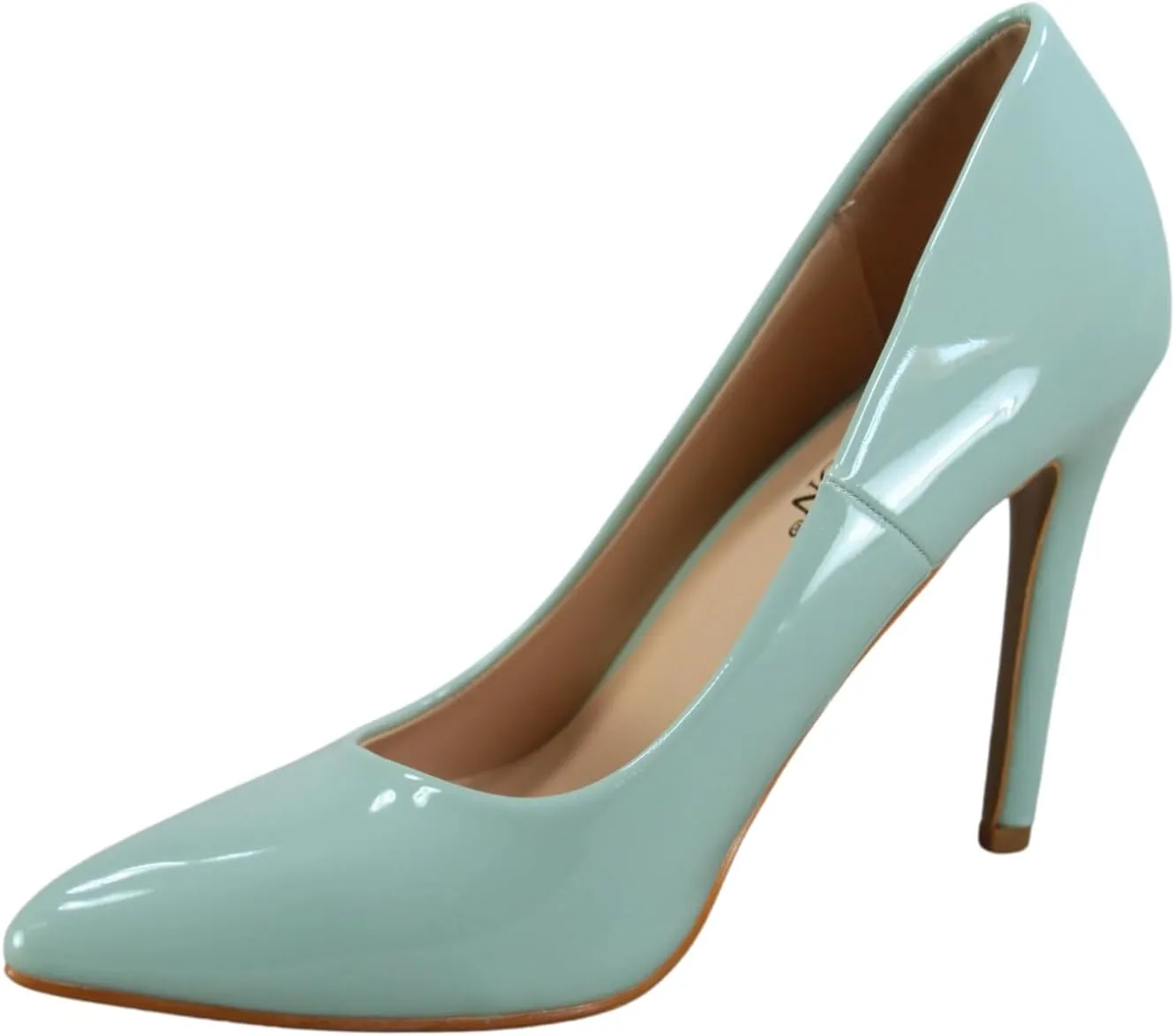 TZ Daisy-01 Women's Closed Toe Pointed Toe High Heel Wedding Dress Pump Shoes