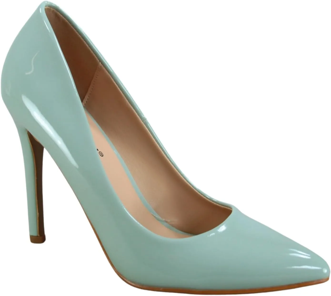 TZ Daisy-01 Women's Closed Toe Pointed Toe High Heel Wedding Dress Pump Shoes