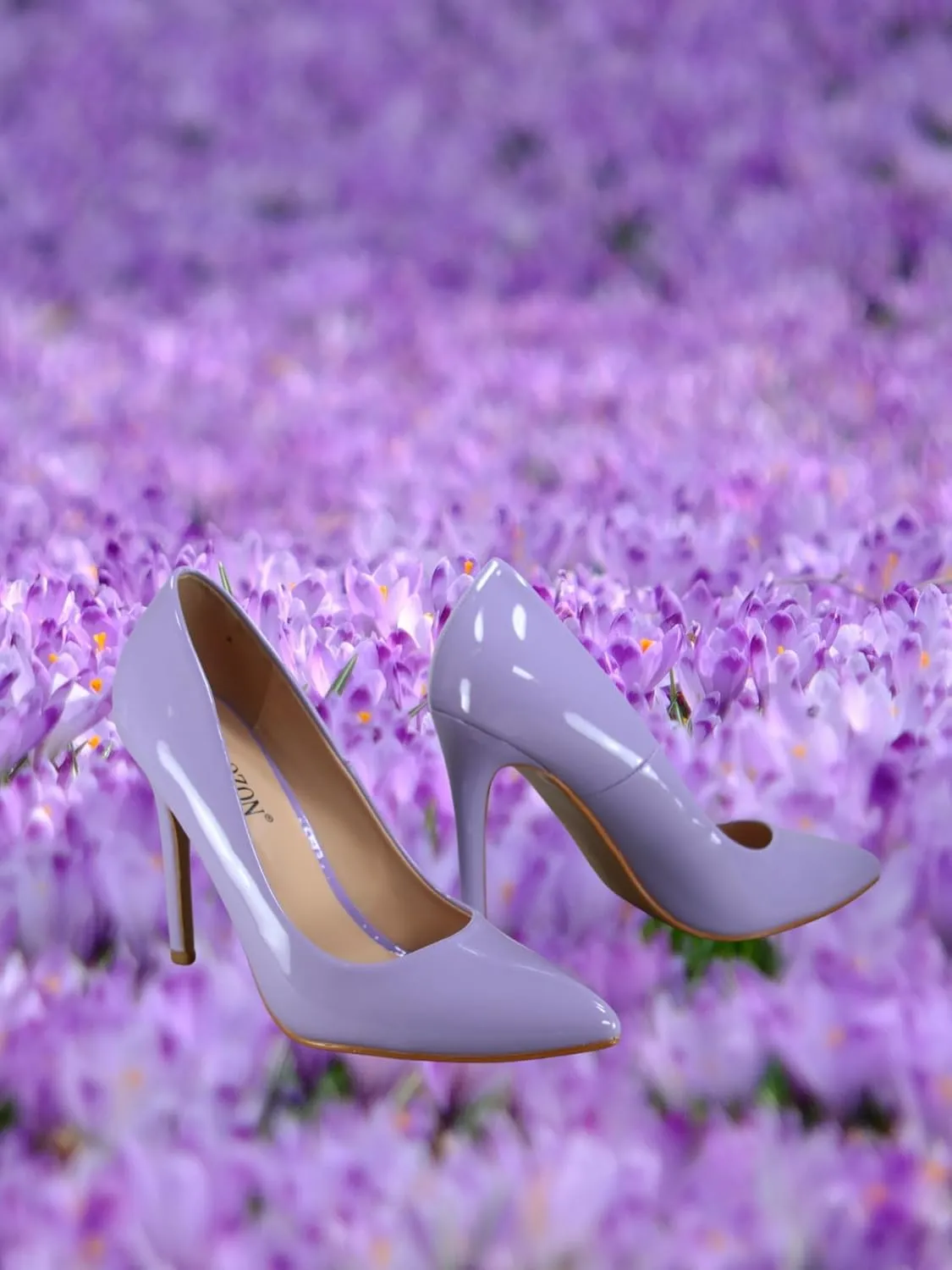 TZ Daisy-01 Women's Closed Toe Pointed Toe High Heel Wedding Dress Pump Shoes